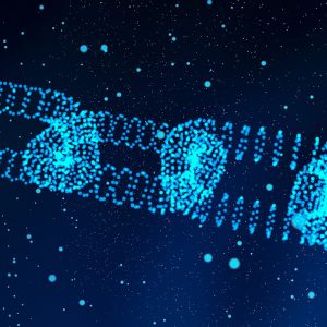 custom website design